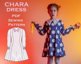 Chara Dress Cover